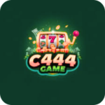 C444 Game