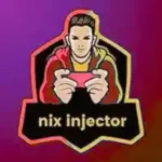 Nix injector